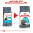 Royal Canin Urinary Care Adult hrana uscata pisica pentru sanatatea tractului urinar, 400 g