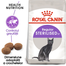 Royal Canin Sterilised Adult hrana uscata pisica sterilizata, 2 kg