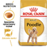 Royal Canin Poodle Adult Hrană Uscată Câine 3kg