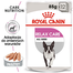 ROYAL CANIN Relax Care Hrana umedă pate, pentru câinii adulți expuși la stres,12 plicuri x 85 g
