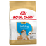 Royal Canin Bulldog Puppy hrana uscata junior, 12 kg