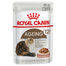 Royal Canin Ageing 12+ hrana umeda pisica senior, 12 x 85 g