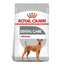 Royal Canin Medium Dental Care Adult hrana uscata caine reducerea formarii tartrului, 10 kg
