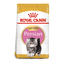 Royal Canin Persian Kitten hrana uscata pisica junior, 10 kg