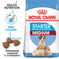 Royal Canin Medium Starter Mother & Babydog gestatie/ lactatie pui hrana uscata caine 24 kg (2 x 12 kg)