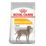 ROYAL CANIN CCN Maxi Dermacomfort hrana uscata caine pentru prevenirea iritatiilor pielii 20 kg (2 x 10 kg)