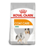 ROYAL CANIN CCN Mini Coat Care Hrana uscata pentru cainii adulti, blana sanatoasa si lucioasa16 kg (2 x 8 kg)