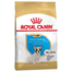 Royal Canin French Bulldog Puppy Hrana uscata pentru catei 20 kg (2 x 10 kg)
