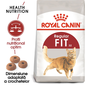 Royal Canin Fit32 Adult hrana uscata pisica cu activitate fizica moderata, 10 kg
