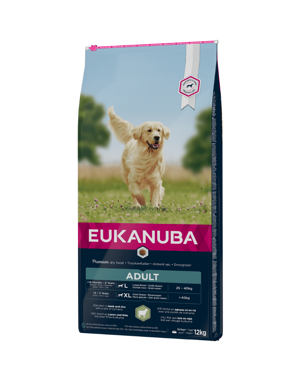 eukanuba adult labrador